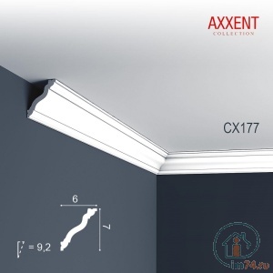  Orac Axxent CX177 