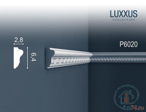  Orac Luxxus P6020  