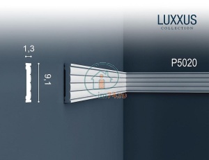 Orac Luxxus P5020 