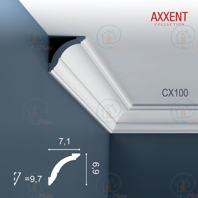  Orac Axxent CX100F  