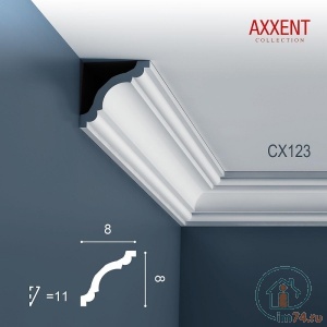  Orac Axxent CX123 